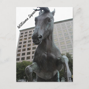 Postal Mustangs de Las Colinas #17