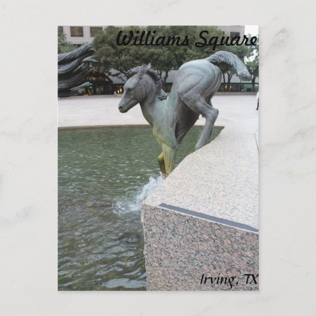 Postal Mustangs de Las Colinas #18 (Anverso)