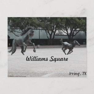 Postal Mustangs de Las Colinas #19