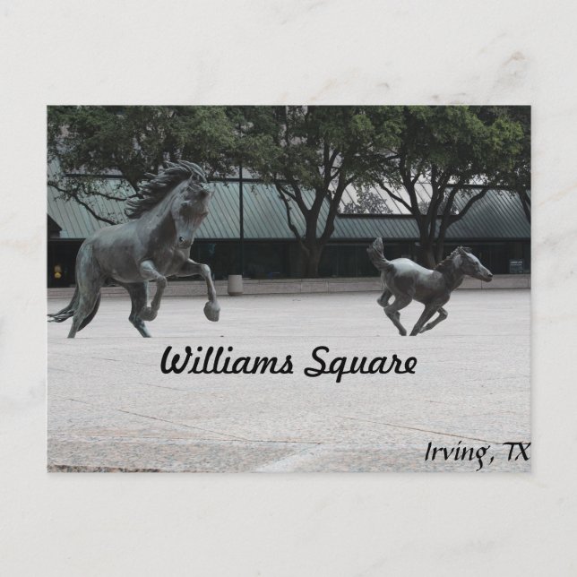 Postal Mustangs de Las Colinas #19 (Anverso)