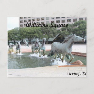 Postal Mustangs de Las Colinas #21