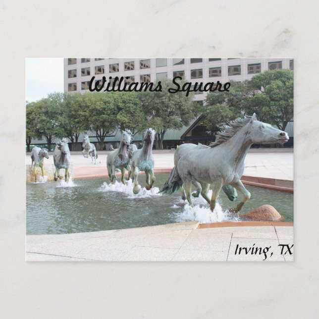 Postal Mustangs de Las Colinas #21 (Anverso)