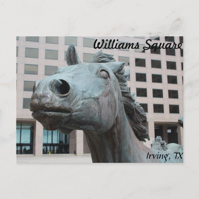Postal Mustangs de Las Colinas #22 (Anverso)