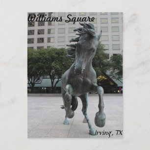Postal Mustangs de Las Colinas #25