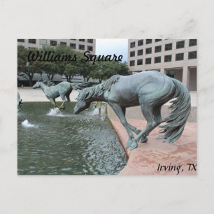 Postal Mustangs de Las Colinas #28