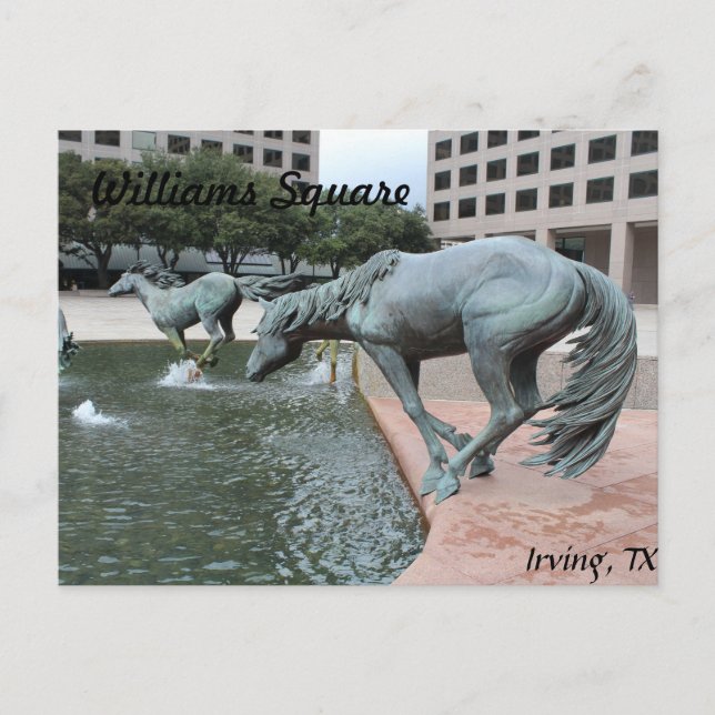 Postal Mustangs de Las Colinas #28 (Anverso)
