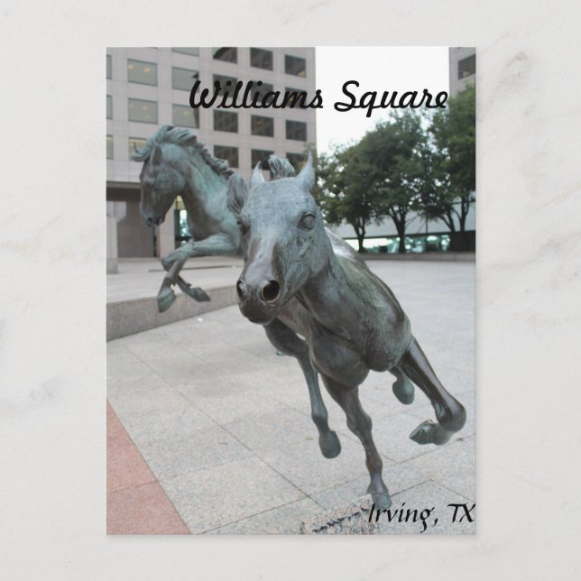 Postal Mustangs de Las Colinas #29 (Anverso)