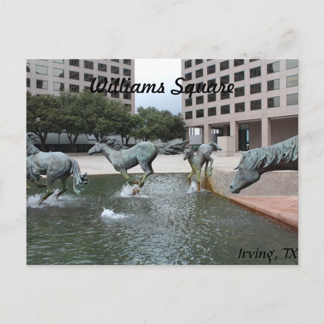 Postal Mustangs de Las Colinas # 3 (Anverso)