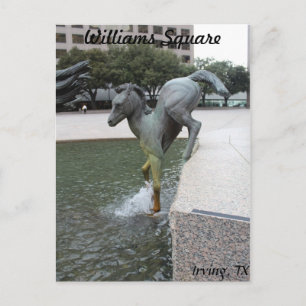 Postal Mustangs de Las Colinas # 7