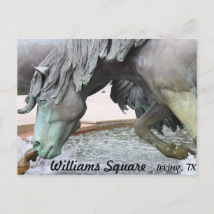 Postal Mustangs de Las Colinas #8