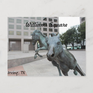 Postal Mustangs de Las Colinas # 9