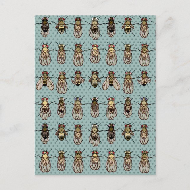 Postal Mutantes de Drosophila (Anverso)