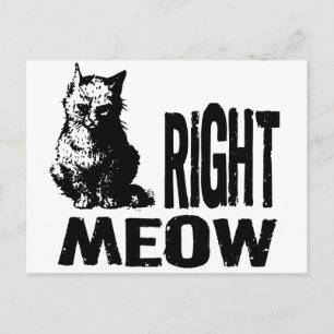 Postal ¡MUY BIEN! Funny Evil Kitty