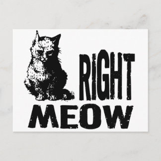 Postal ¡MUY BIEN! Funny Evil Kitty
