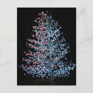 Postal ¡Muy brillante!