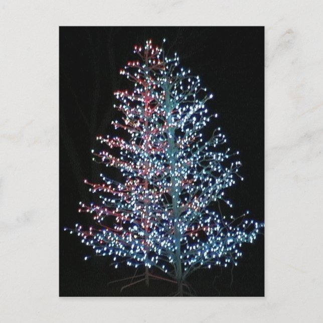 Postal ¡Muy brillante! (Anverso)