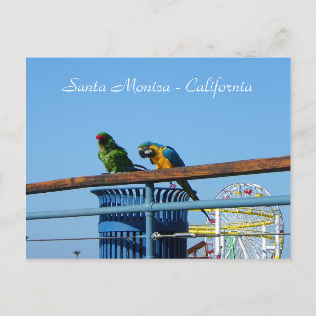 Postal ¡Muy Guay Santa Mónica Postcard! (Anverso)