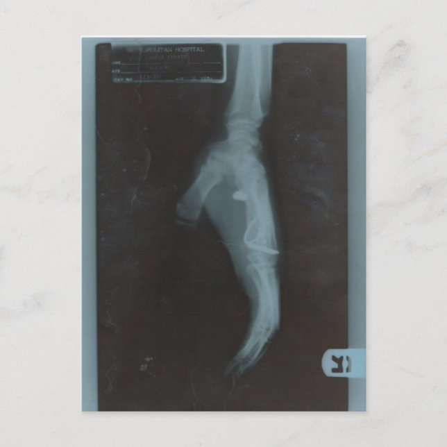 POSTAL MY22BULLET (Anverso)