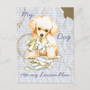 Postal My Toy Poodle Ate my Lesage Plan