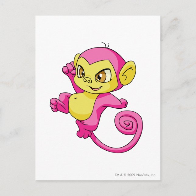 Postal Mynci Pink (Anverso)