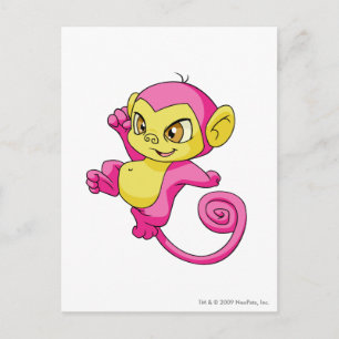 Postal Mynci Pink