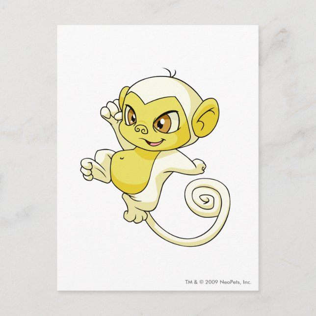 Postal Mynci White (Anverso)