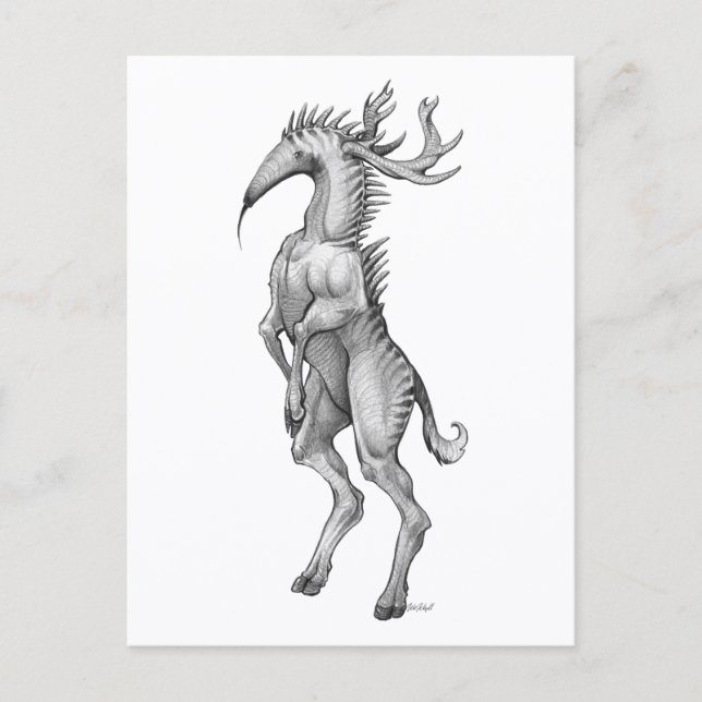 Postal Myrmedeer - Postcard (Anverso)