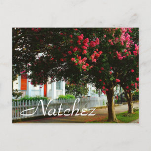 Postal Myrtle de Violación, Verano en Natchez, MS