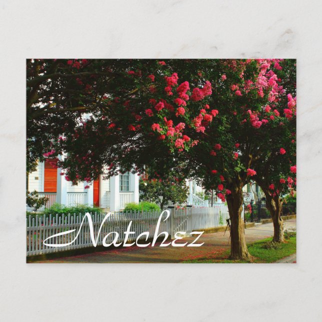 Postal Myrtle de Violación, Verano en Natchez, MS (Anverso)