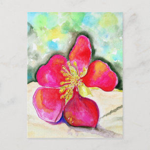 Postal Mystery Pink Flower Watercolor