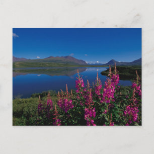 Postal N.A., EE. UU., Alaska, Alaska Range Common