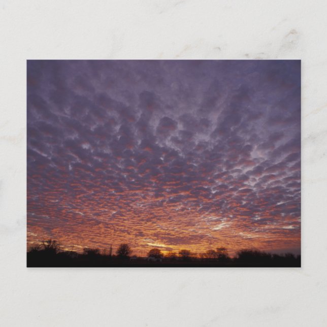 Postal N.A., EE. UU., Nuevo México, cerca de Las Cruces, (Anverso)