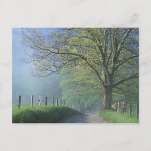 Postal N.A., EE.UU., Tennessee, Smokey Mts. Parque nacion