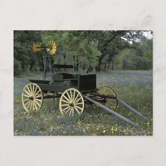 Postal N.A., EE. UU., Texas, Devine, Viejo vagón y (Anverso)