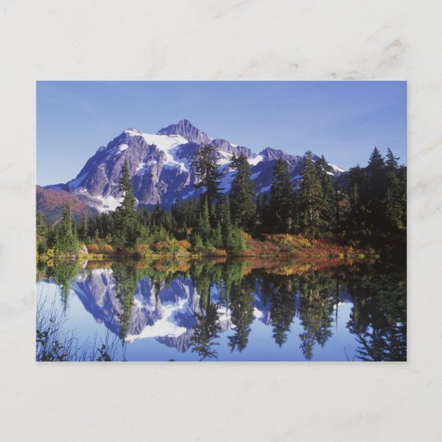 Postal N.A., EE.UU., Washington, Mt. Baker y Snoqualmie (Anverso)