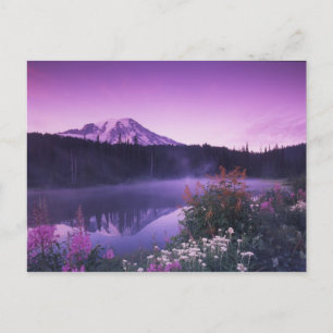 Postal N.A., EE. UU., Washington, Mt. Rainier Nacional