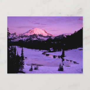 Postal N.A., EE. UU., Washington, Mt. Rainier Nacional 3