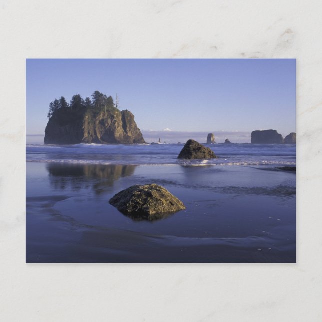 Postal N.A., EE. UU., Washington, Parque Nacional Olímpic (Anverso)