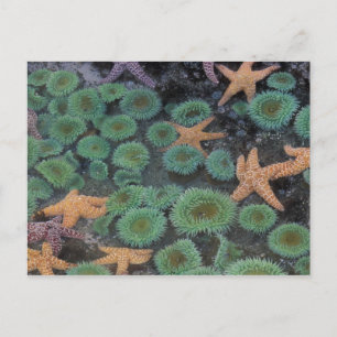 Postal N.A., Estados Unidos, Washington, Parque Nacional 