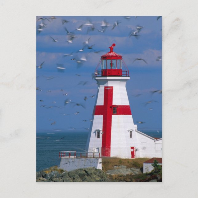 Postal NA, Canadá, Nueva Brunswick, isla Campobello. 8 (Anverso)