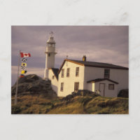 NA, Canadá, Terranova, Lobster Cove. Langosta