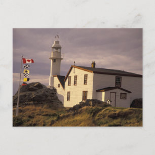 Postal NA, Canadá, Terranova, Lobster Cove. Langosta