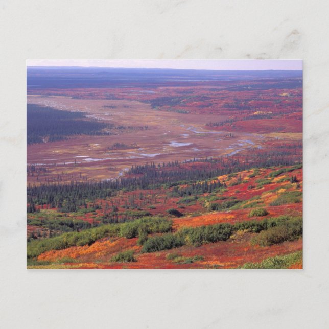 Postal NA, EE.UU., Alaska, Denali NP, Vista de McKinley (Anverso)