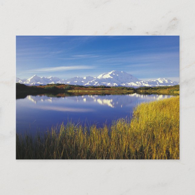 Postal NA, EE.UU., Alaska, policía de Denali Monte McKinl (Anverso)