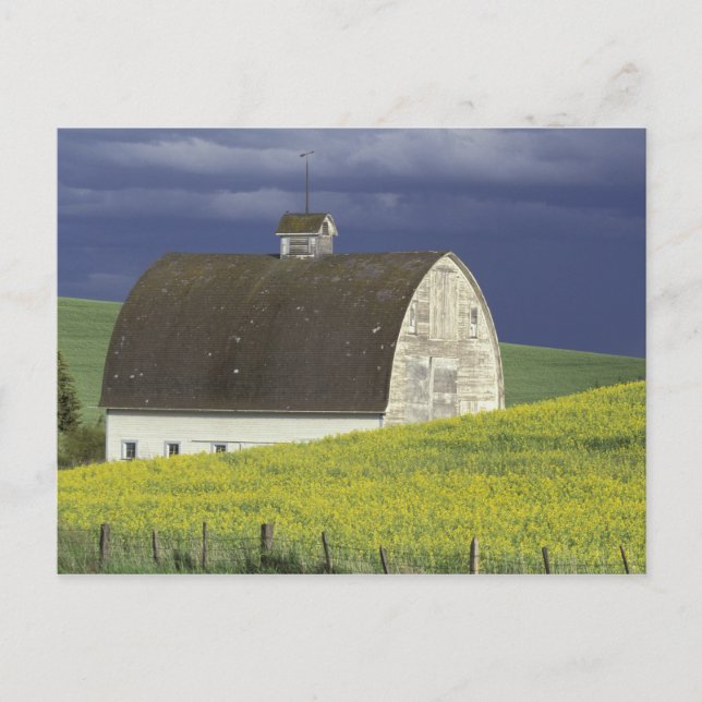 Postal NA, EE. UU., Idaho, al sur de Genesse, campo de ca (Anverso)