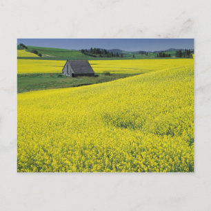 Postal NA, EE.UU., Idaho, cerca de Potlatch, granero de m