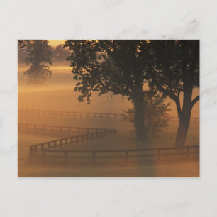 Postal NA, EE. UU., Kentucky. Amanecer brumoso en Kentuck