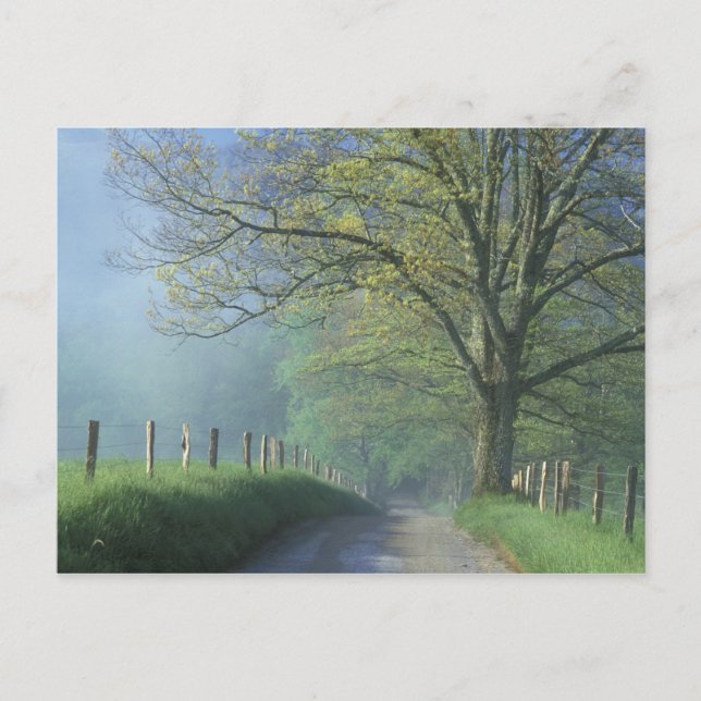 Postal NA, EE.UU., Tennessee, Cades Cove, Great Smoky (Anverso)
