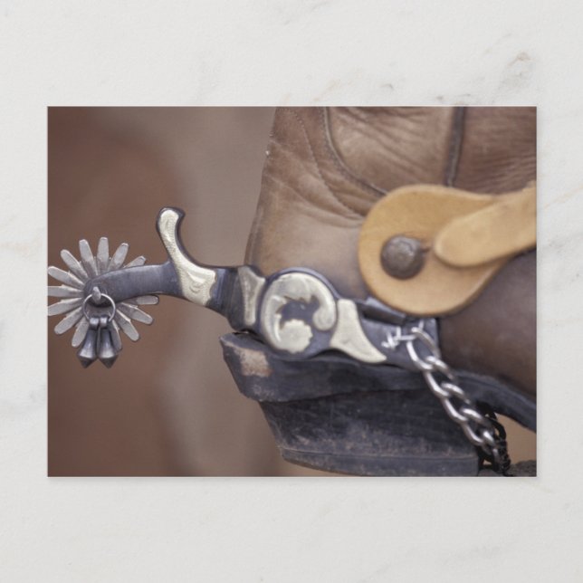 Postal NA, EE.UU., Texas, Lubbock Cowboy arranca y espole (Anverso)