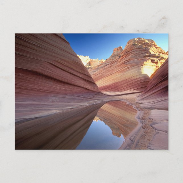 Postal NA, EE. UU., Utah, Vermillion Cliffs. Coyote Butte (Anverso)